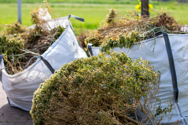 Debris Removal in Seffner, FL