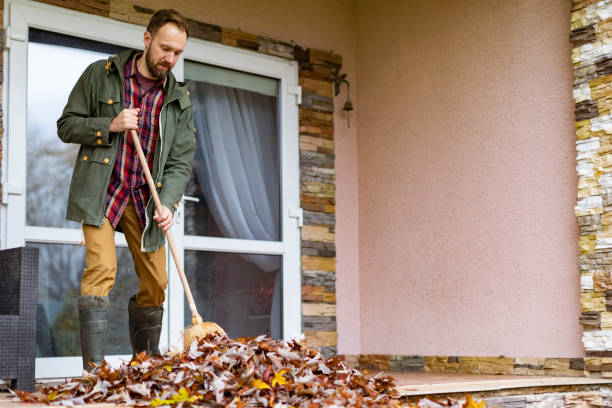 Best Same-Day Junk Removal  in Seffner, FL